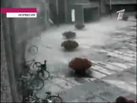 http://images.vfl.ru/ii/1513275614/e3dcbec4/19804445_s.gif