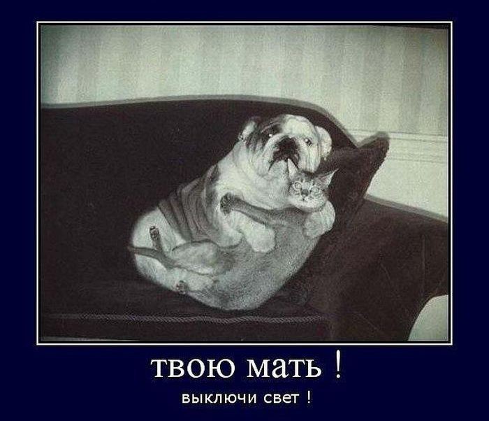 http://images.vfl.ru/ii/1508079892/a191f95e/19011516.jpg