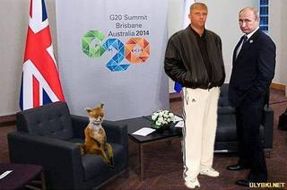 http://images.vfl.ru/ii/1543190643/6a8188bb/24353023.jpg