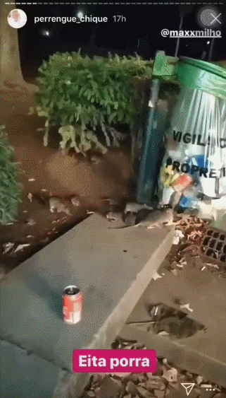 https://cs10.pikabu.ru/post_img/2019/10/03/6/1570095354121286223.gif