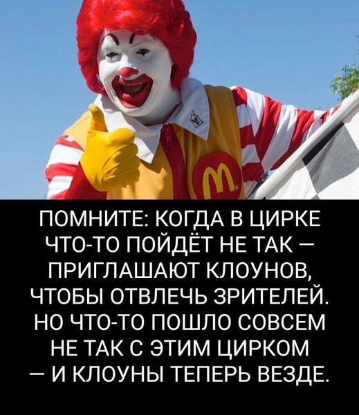 https://i.imgur.com/RRzclMM.jpeg