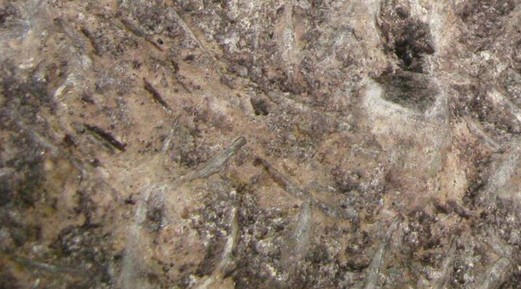 http://images.vfl.ru/ii/1512977068/7274664d/19765377.jpg