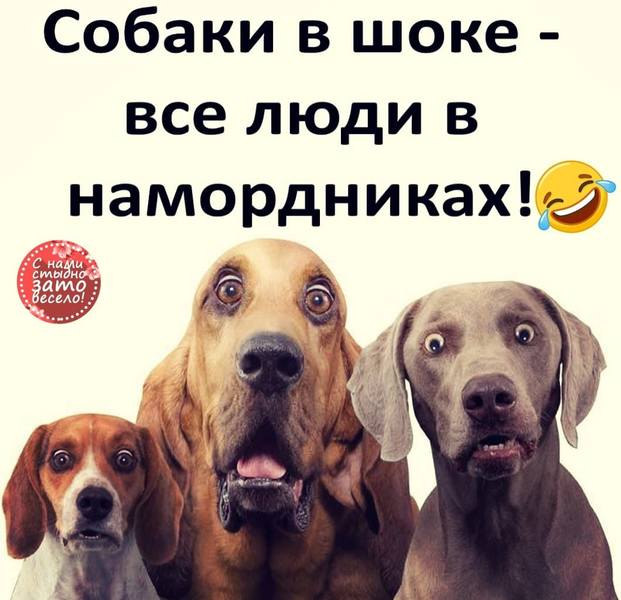 http://images.vfl.ru/ii/1585238330/ce084c2e/30010198.jpg