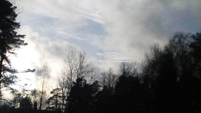 http://images.vfl.ru/ii/1541073397/85b22cc0/24025621_m.jpg