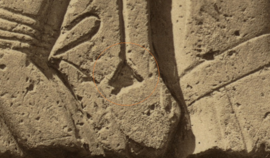 http://images.vfl.ru/ii/1500918158/a7ece06a/18022387.jpg