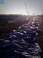 http://images.vfl.ru/ii/1410262541/f013babc/6277282_s.jpg