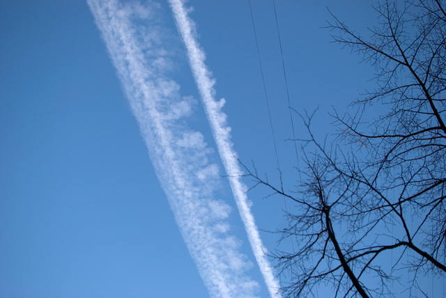http://images.vfl.ru/ii/1521564412/81c31f8c/21041535_m.jpg