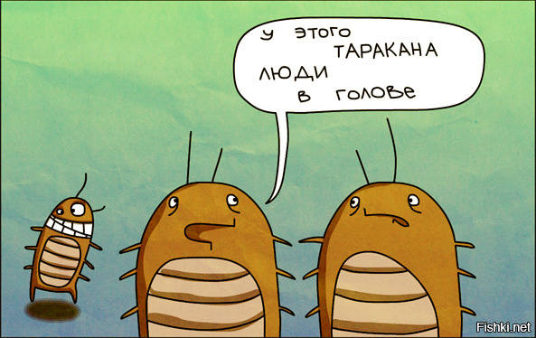 http://images.vfl.ru/ii/1527834084/ed427fda/21955028_m.jpg