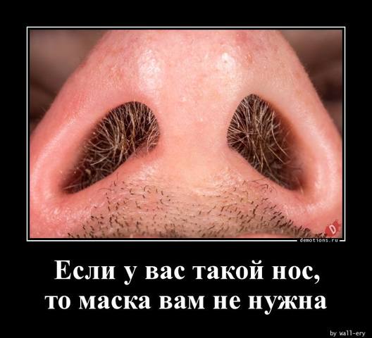http://images.vfl.ru/ii/1597903298/02971b0e/31392630_m.jpg