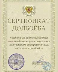 http://images.vfl.ru/ii/1549122527/69d032e4/25225171_m.jpg