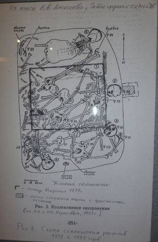 http://images.vfl.ru/ii/1501407045/728a581d/18077975_m.jpg