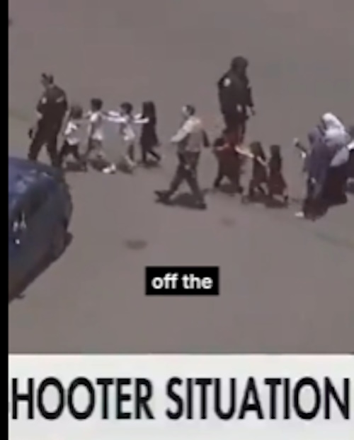 https://i.ibb.co/60SHRvCR/image.jpg