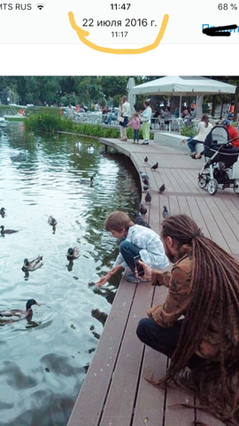 http://images.vfl.ru/ii/1551000979/17229307/25522378_m.png