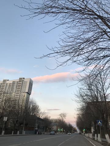 http://images.vfl.ru/ii/1556980207/850f0336/26415967_m.jpg