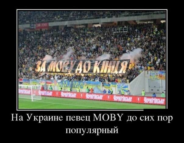 http://images.vfl.ru/ii/1517087381/9a2c1005/20335841_m.jpg