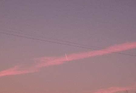 http://images.vfl.ru/ii/1556242577/b652016e/26322899.jpg