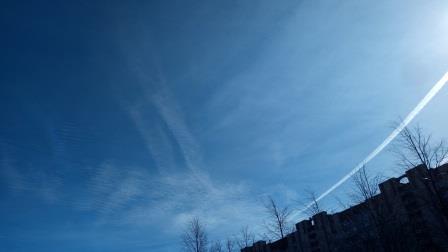 http://images.vfl.ru/ii/1556145451/95a2206c/26310526.jpg