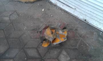 http://se.uploads.ru/t/5nW0f.jpg