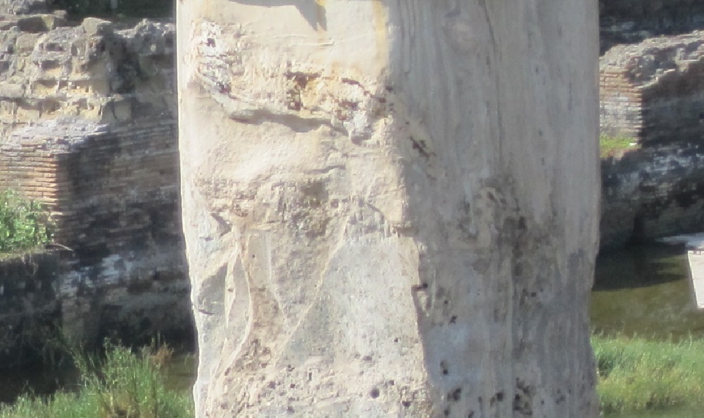 http://images.vfl.ru/ii/1499549080/39128c2a/17860424.jpg