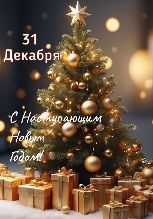 https://i4.imageban.ru/out/2025/12/31/6541ef036a9ab7f0868b4a702cef438e.jpg