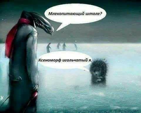 http://images.vfl.ru/ii/1504624786/a5f83436/18491180.jpg