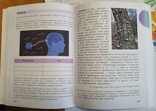 http://images.vfl.ru/ii/1606594180/2e2482ce/32474449_m.jpg