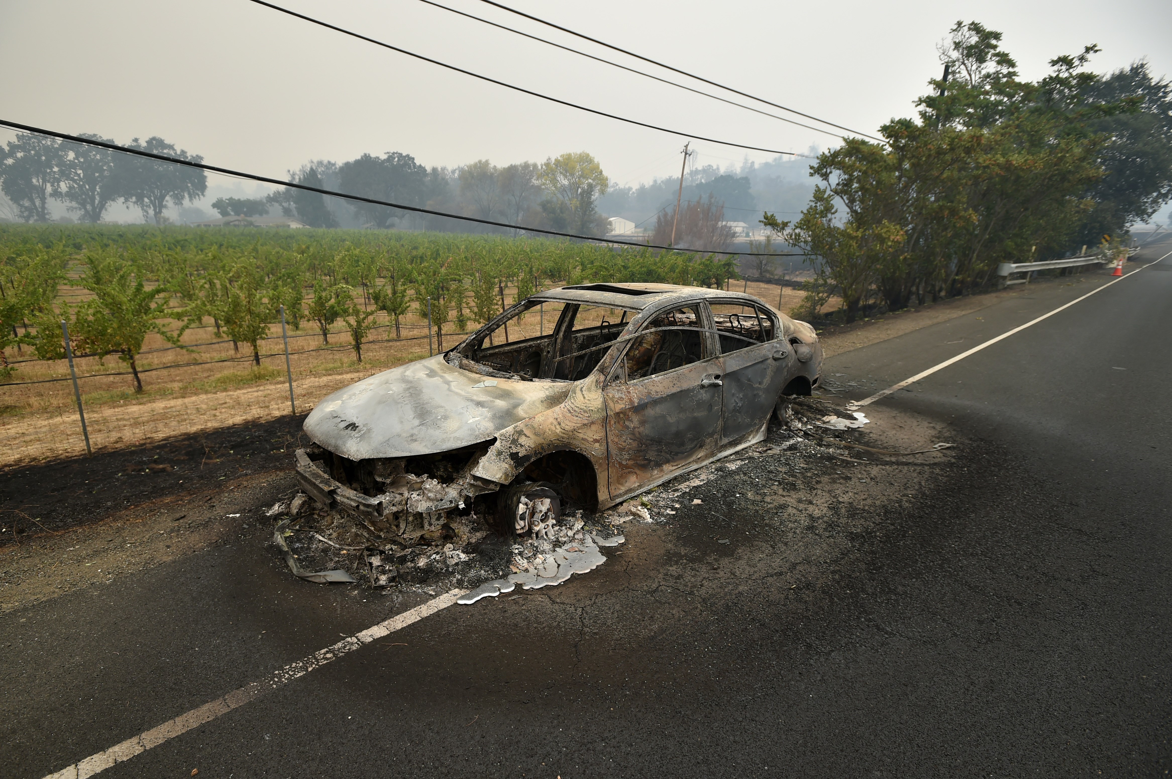 http://ww2.kqed.org/news/wp-content/uploads/sites/10/2015/09/RS16635_GettyImages-488103158.jpg