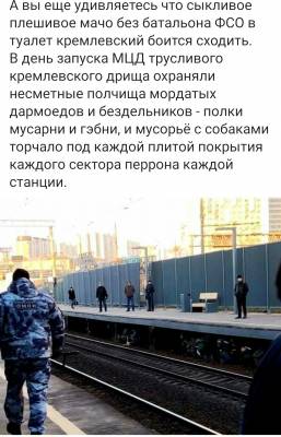https://s8.hostingkartinok.com/uploads/images/2019/11/ccb05f78e954a1a4a6dc53a1786fe10c.jpg