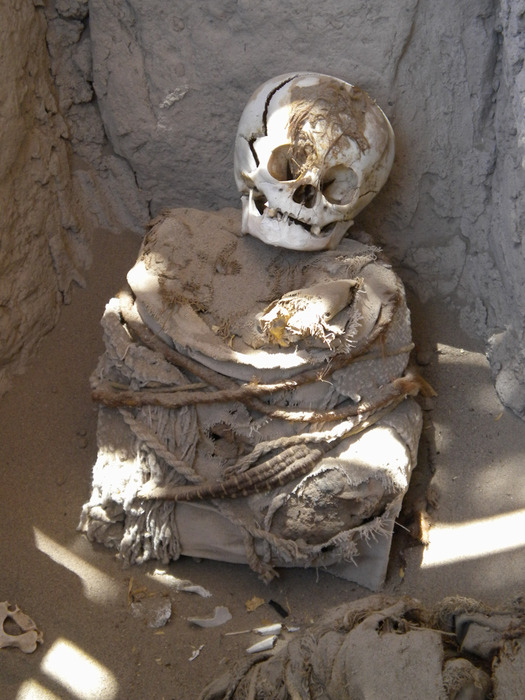 http://images.vfl.ru/ii/1417811442/9cec4151/7146562.jpg