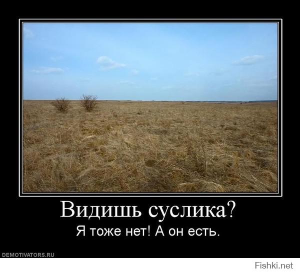 http://s.fishki.net/upload/users/462298/201410/07/3e902c854a05702b900f0144bd75b2a1.jpg