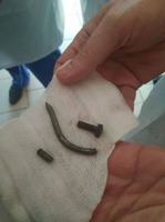 http://images.vfl.ru/ii/1544311842/4369b647/24527400_s.png