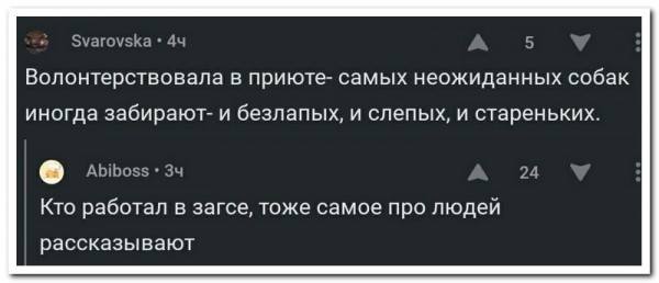 http://images.vfl.ru/ii/1508506084/bf2dd9ef/19074896_m.jpg