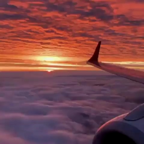 http://images.vfl.ru/ii/1612557247/612d47fd/33232557.jpg