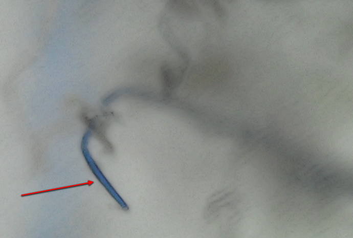http://images.vfl.ru/ii/1617729251/8220f959/33974402_m.jpg