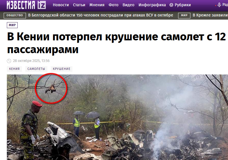 https://i8.imageban.ru/out/2025/10/28/7b6edcd780df24516e773d308a0f0895.jpg