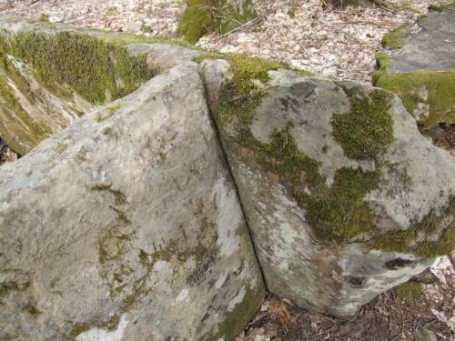 http://images.vfl.ru/ii/1416955657/1f7e6f65/7055347.jpg