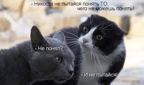 http://images.vfl.ru/ii/1633407643/df7ae22d/36127006_m.jpg