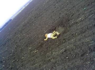 http://se.uploads.ru/t/dFHlf.jpg
