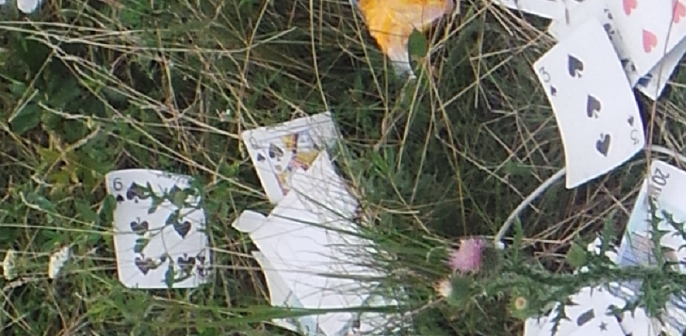 http://images.vfl.ru/ii/1413108371/3d47a259/6618421.png