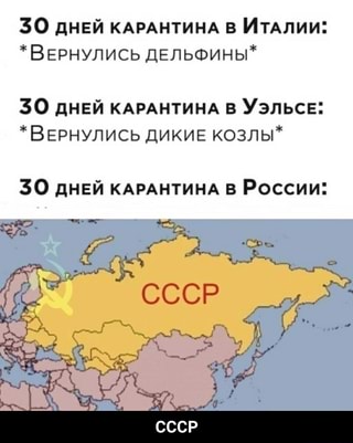 https://imageproxy.idaprikol.ru/crop:x-20,resize:320x,crop:x800,quality:90x75/images/8d68e538dab826da6206897d97c81611fe37e91028b991d4c3d50f65245c2205_1.jpg