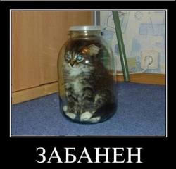 http://images.vfl.ru/ii/1563910840/4afb4df6/27310359_m.jpg