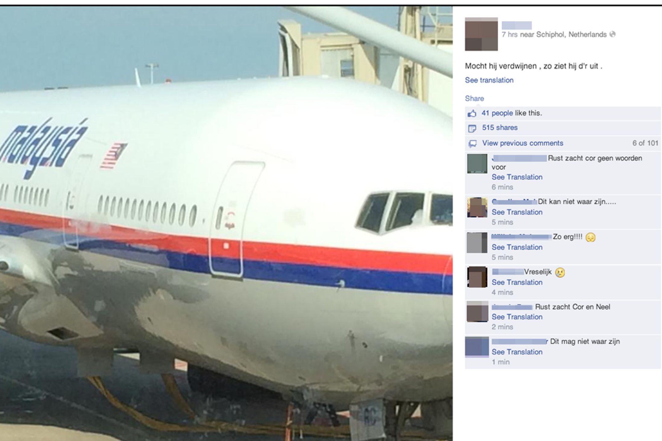 http://i3.mirror.co.uk/incoming/article3875846.ece/alternates/s2197/An-image-reported-to-the-last-image-of-Malaysia-Airlines-plane-MH17.jpg