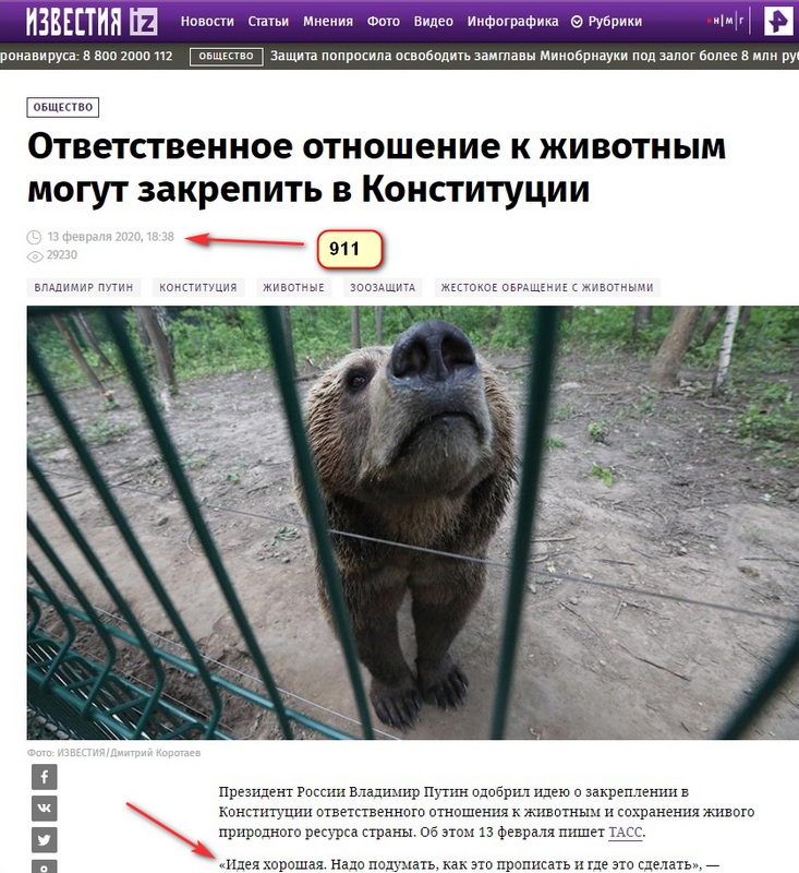 http://images.vfl.ru/ii/1594050557/12edcf09/31003102.jpg