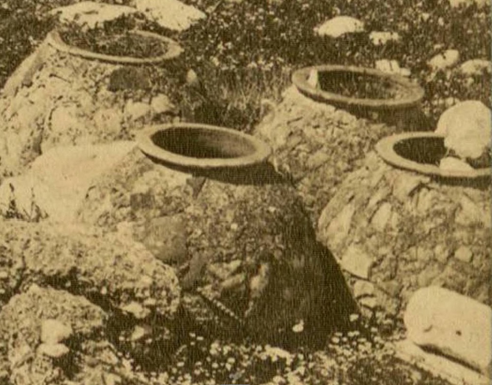 http://images.vfl.ru/ii/1501858486/608b109b/18137898.jpg