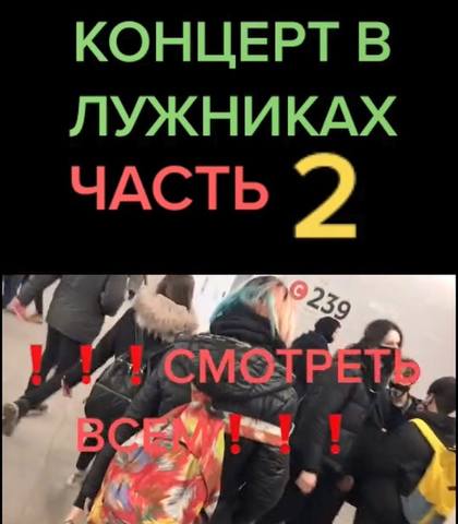 http://images.vfl.ru/ii/1616187140/6f788bc9/33741536_m.jpg