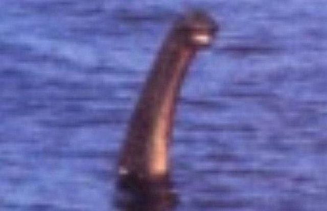 http://img.izismile.com/img/img2/20090831/loch_ness_monster_10.jpg