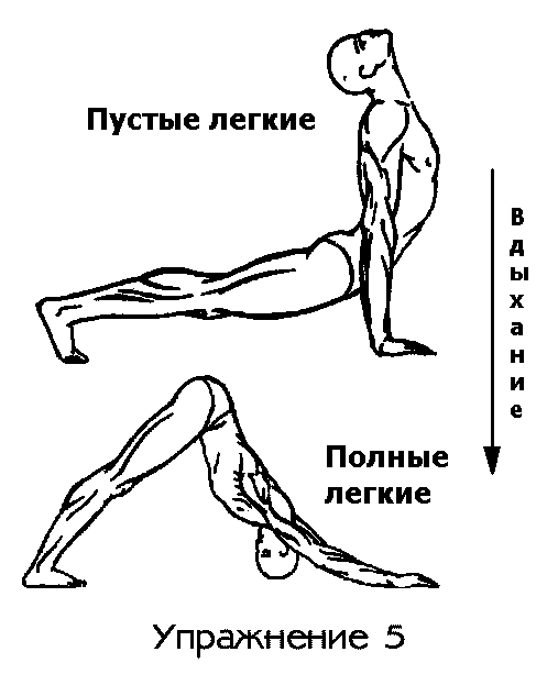 https://i8.imageban.ru/out/2025/10/14/68de4bc645c2a1fd44aaf5c11c6864bc.jpg