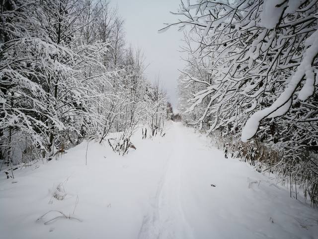 http://images.vfl.ru/ii/1546609478/3594b443/24817316_m.jpg