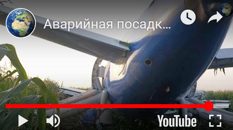 http://images.vfl.ru/ii/1565984920/bd7d3773/27564211.jpg