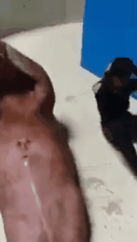 http://images.vfl.ru/ii/1498599519/aacde11c/17736350.gif